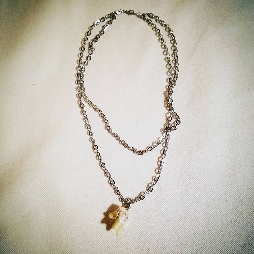 Deer Tooth Silver Necklace